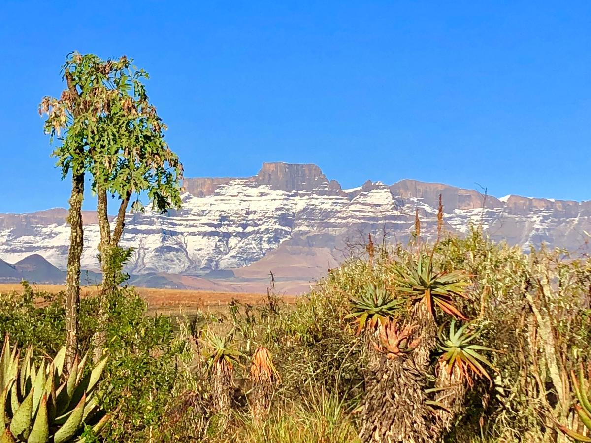 Drakensberg Inkosana Lodge Champagne Valley Экстерьер фото