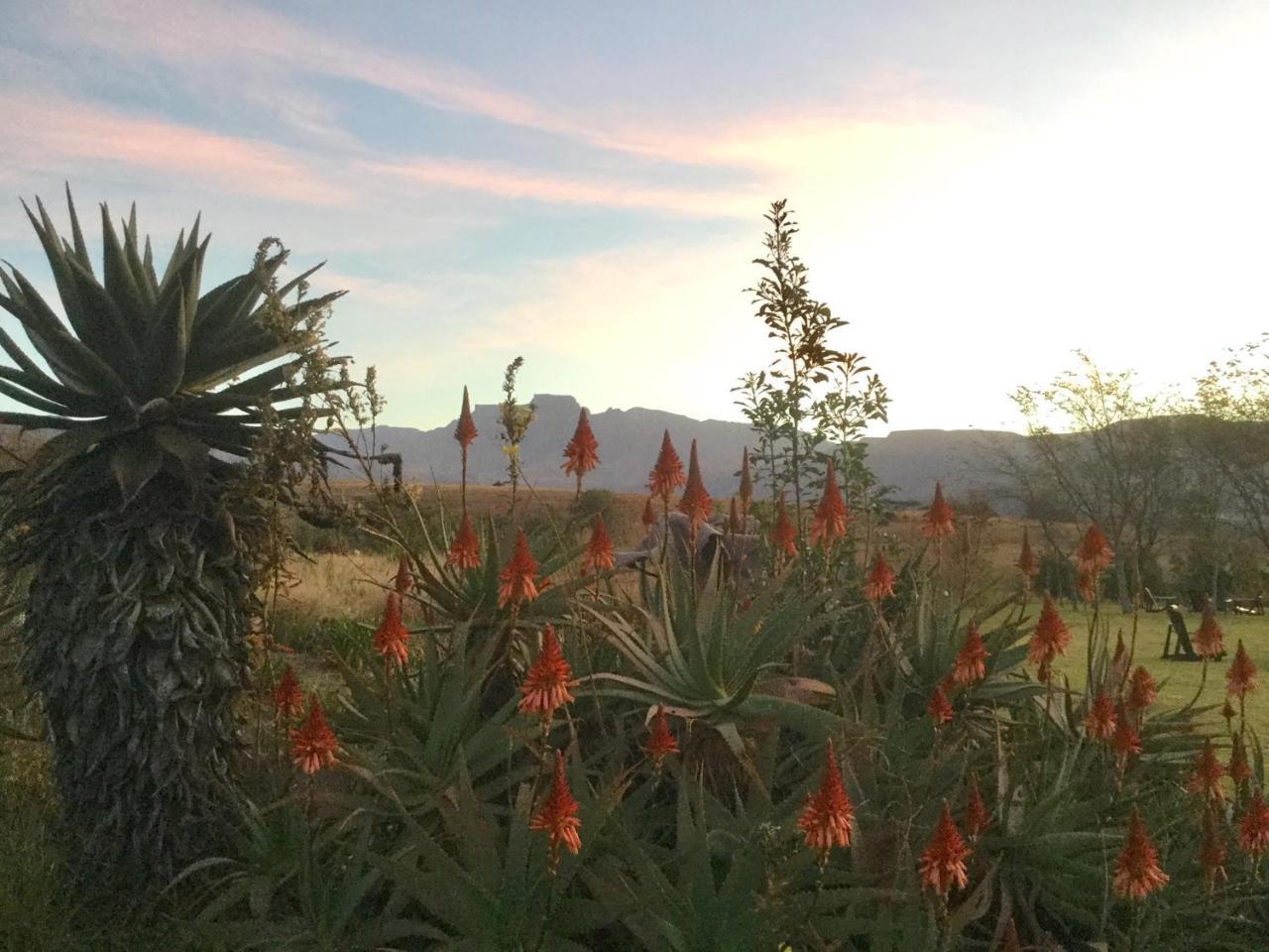 Drakensberg Inkosana Lodge Champagne Valley Экстерьер фото